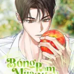 Bóng Râm Mùa Xuân