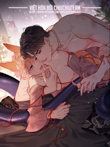 doi-tuong-cong-luoc-thiet-lap-tinh-cach-cua-anh-bi-meo-mo-roi