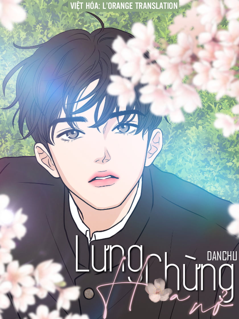 drop-lung-chung-hoa-no