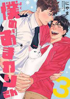 hoan-boku-no-omawari-san