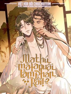 ma-thu-ma-ta-nuoi-lam-phan-roi