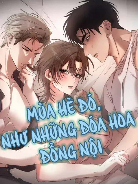 mua-he-do-nhu-nhung-doa-hoa-dong-noi