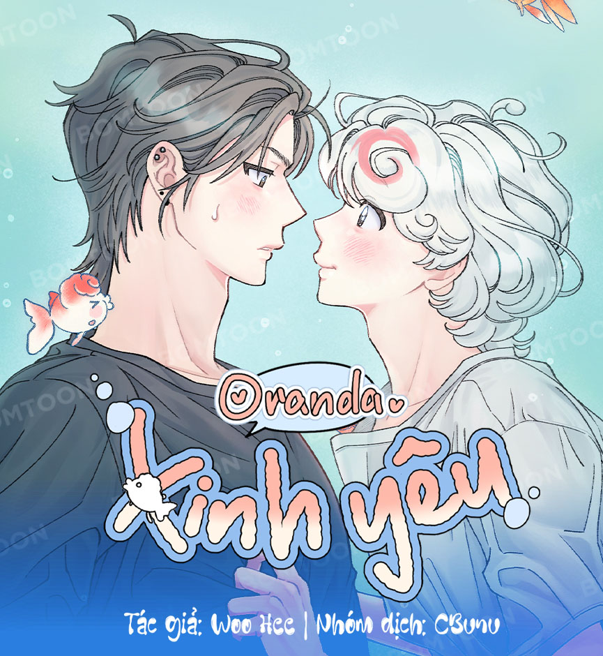 Oranda Xinh Yêu