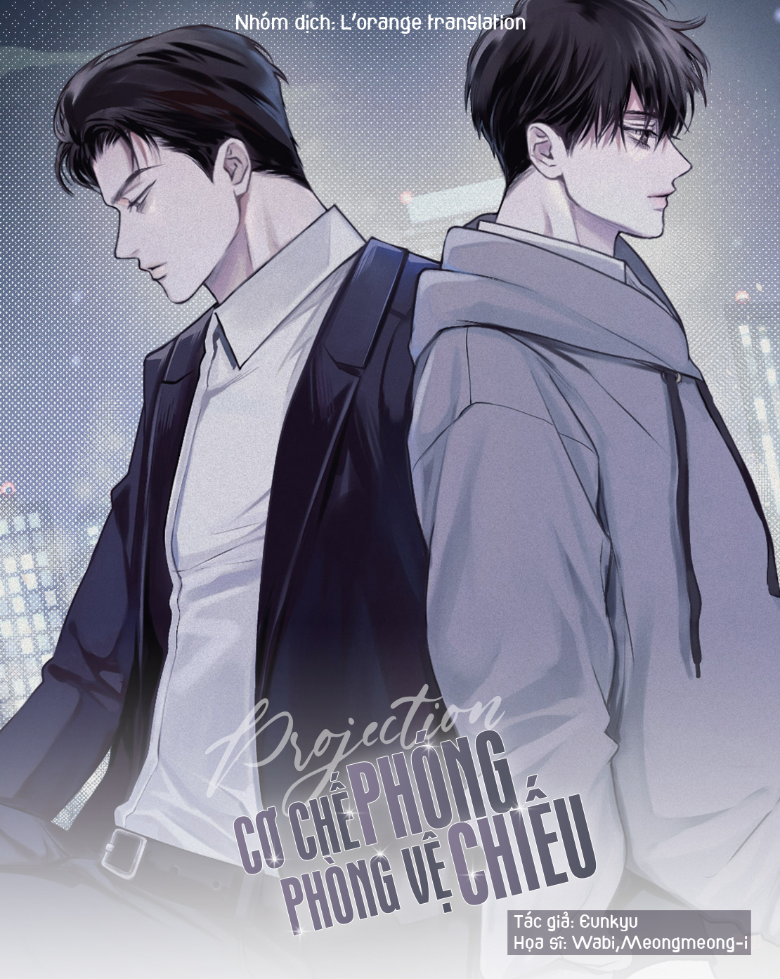 projection-co-che-phong-ve-phong-chieu